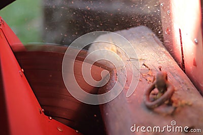 A red safe circular saw sawing an old wooden beam. The disc of this buzz saw cutting the wood, the Sun shining on the cut. A lot o Stock Photo