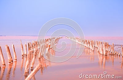 Red salt lake waters in the summer Stock Photo