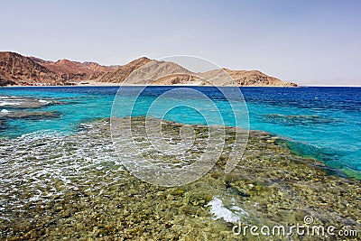 Red Sea, Egypt Stock Photo