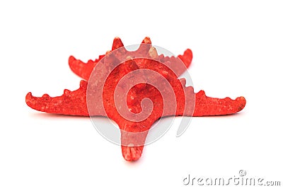 Red sea star isolated on white background Stock Photo