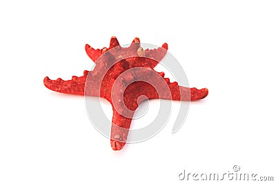 Red sea star isolated on white background Stock Photo