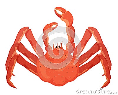 Red seafood crab Vector Illustration