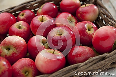 Red shiny Apples Stock Photo