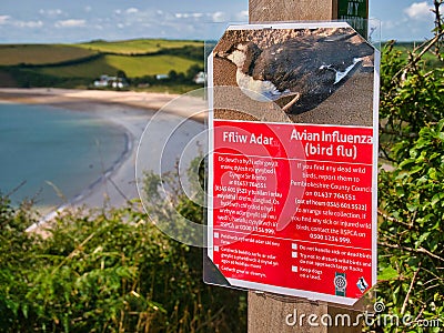 A red sign fixed to a wooden post on the Pembrokeshire Coast Path warns of avian flu and advises on precautions and actions Editorial Stock Photo