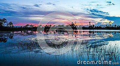 Red Skies over a Florida Marshy Pond Stock Photo