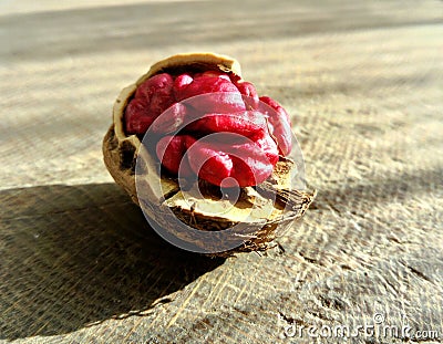Red skin walnut on wooden table Stock Photo
