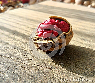Red skin walnut on wooden table Stock Photo