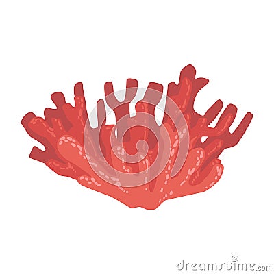 Red Soft Coral, Tropical Reef Marine Invertebrate Animal Isolated Vector Icon Vector Illustration