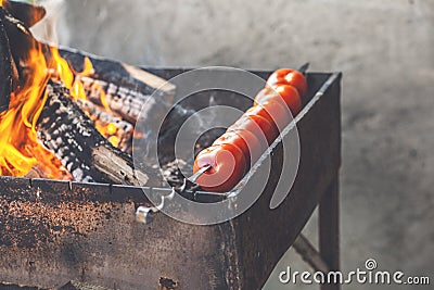 red spiced fried halves of grilled tomatoes in the process of cooking. Stock Photo