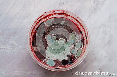 Red spoiled moldy smoothie in plastik bowl on grey marble background with copy space Stock Photo