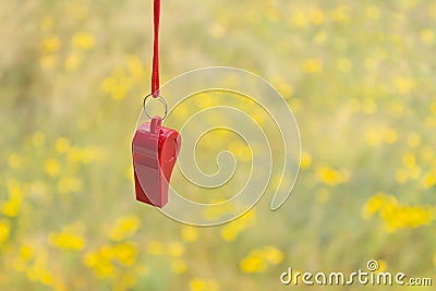 Red sports whistle on a background of yellow flowers. Stock Photo