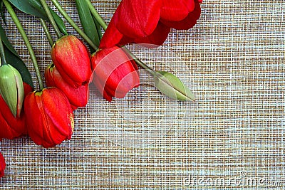 Red spring tulips background on brown background Stock Photo