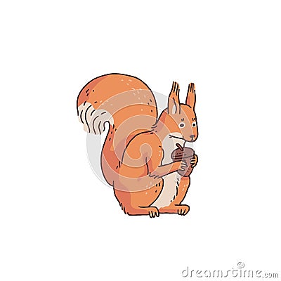 Red squirrel with acorn. Cartoon outline sketch illustration of cute animal character. Vector Illustration