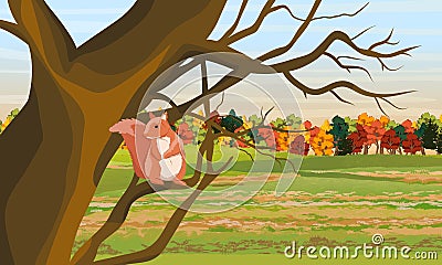 Red Squirrel on the branches of a tree. Field and autumn deciduous forest Vector Illustration