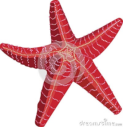 Red Starfish Beach Marine Animal Vector Illustration Vector Illustration