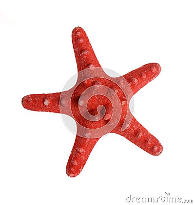 Red starfish isolated on white Stock Photo