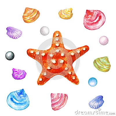 Red Starfish and Sea Shells. Watercolor illustration Cartoon Illustration