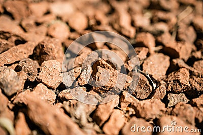 Red stones, pebbles, gravel close up with copy space Stock Photo