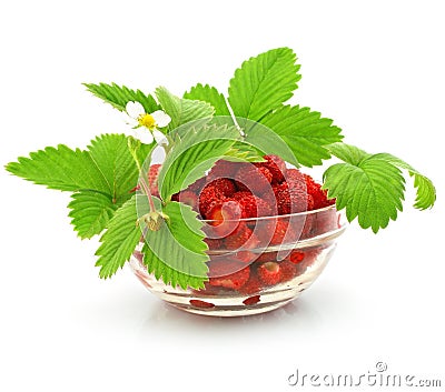 Red strawberry fruits with leafs isolated Stock Photo