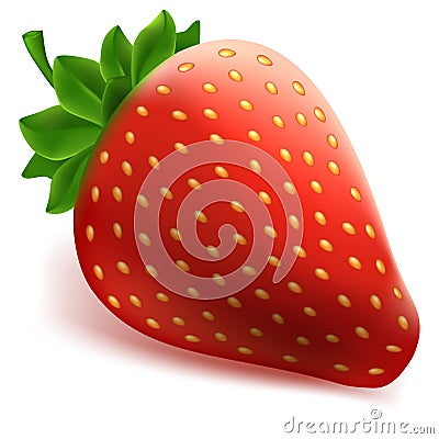 Red strawberry Vector Illustration