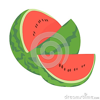 Red striped watermelon, whole and cut, and slice, juicy fruit, melon crop Vector Illustration