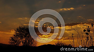 Red Stky | yellowish sky capture in Camera | Sky picture | sunset picture Stock Photo