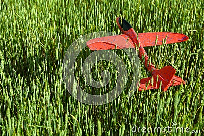 Red styrofoam plane is on grass Stock Photo