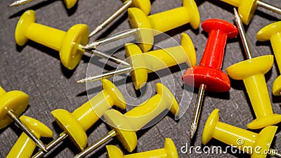 Red surrounded by yellow push pins. Stock Photo