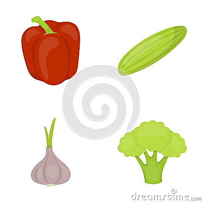 Red sweet pepper, green cucumber, garlic, cabbage. Vegetables set collection icons in cartoon style vector symbol stock Vector Illustration