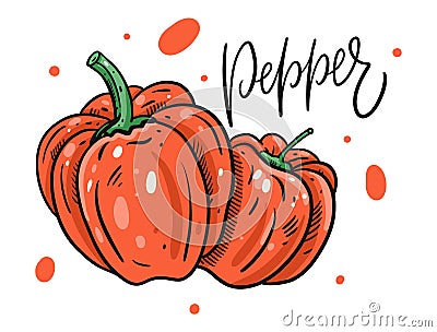 Red sweet pepper poster. Hand drawn vector illustration in cartoon style. Isolated on white background Cartoon Illustration