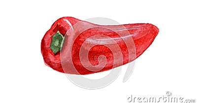 Red sweet pepper. Watercolor illustration isolated on a white background Cartoon Illustration