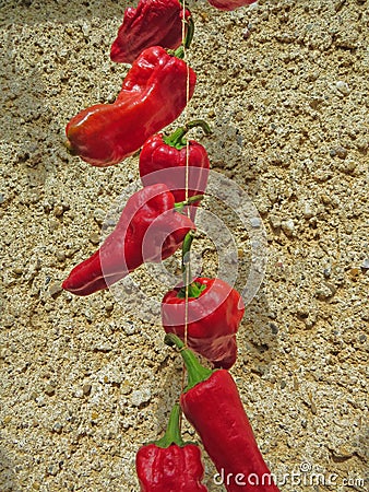 Red sweet peppers on a rope for drying. Traditional small village food preparation. Stock Photo