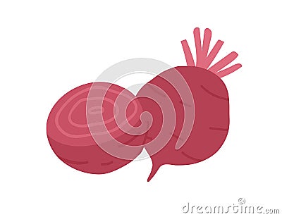 Red table sugar beet composition. Whole fresh beetroot and its cut piece. Root vegetable. Flat vector illustration of Vector Illustration