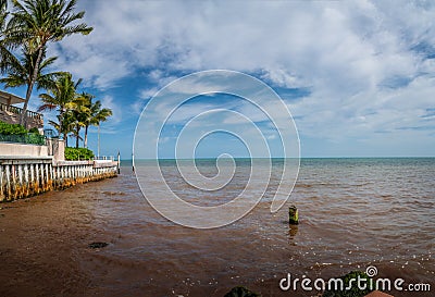 Red tide in summer season. Harmful algal bloom phenomenon in Key West, Florida Stock Photo