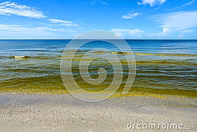 Red Tide Stock Photo