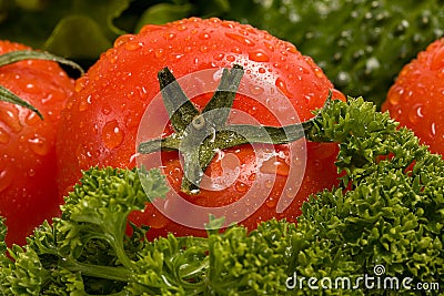 A red tomato on the fresh verdure Stock Photo