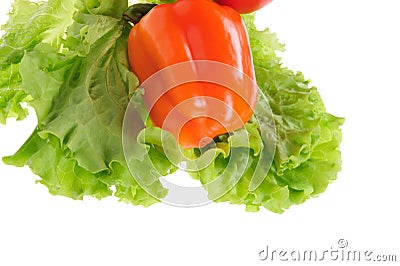 red tomato and green salad Stock Photo