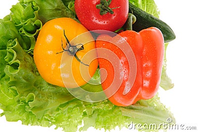 red tomato and green salad Stock Photo