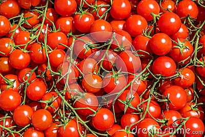 Red tomatoes background. Group of fresh cherry tomatoes Stock Photo