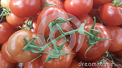 Red Tomatoes Vegetable Background Stock Photo