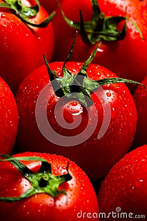 Red tomatoes with water drops Stock Photo