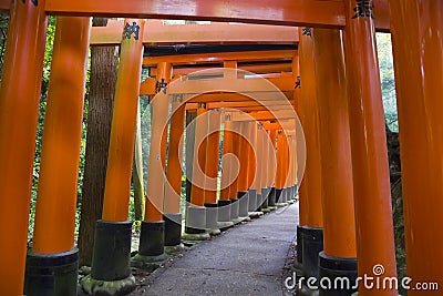 Red tories path Stock Photo