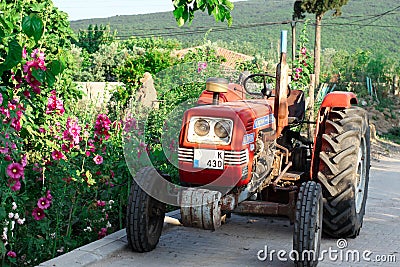 Red tractor and pink flowers in Village Editorial Stock Photo