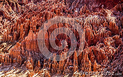 Red Tsingy. Typical landscape. Madagascar. Cartoon Illustration