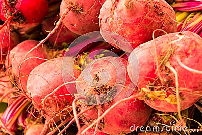 Red tubers Stock Photo