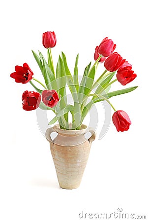 RED TULIP FLOWERS Stock Photo