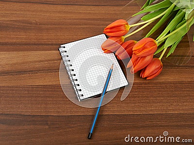 Red tulip flowers on, background Stock Photo