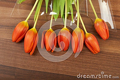 Red tulip flowers on, background Stock Photo