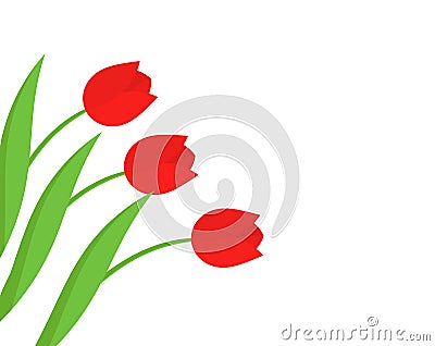 Red tulip flowers background Vector Illustration