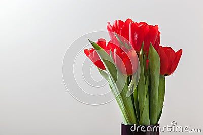 Red tulip flowers bouquet on grey background. Stock Photo